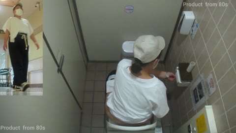         HD Japanese Toilet Style.263
    