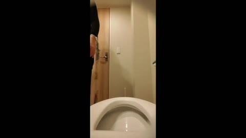         【個室観察】お嬢様のプリプリのお尻はいかがですか？///2
    