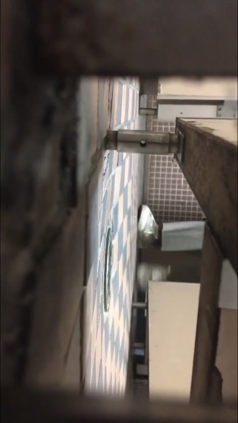         （無）もち肌お姉さまの和式トイレ
    