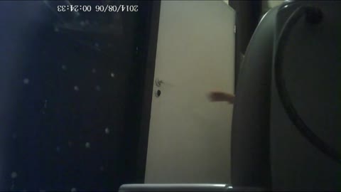         ブレグジット記念　ＥＵ最後のトイレ3
    