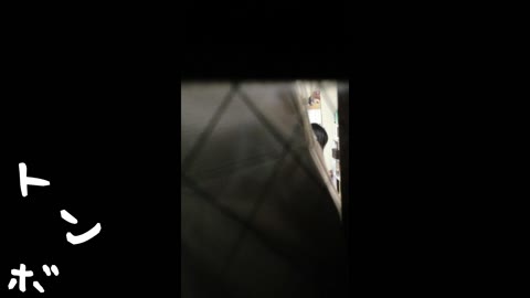         元ジュリマリのYUKI似 某歌手丸秘ヌード①
    