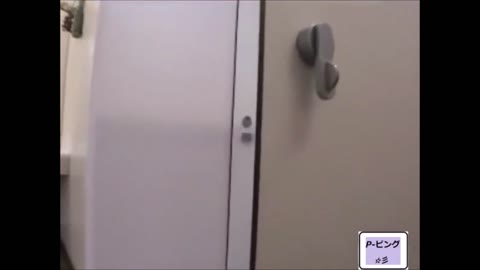         盗撮見つかる！美人さんのトイレオナニー（レア）
    