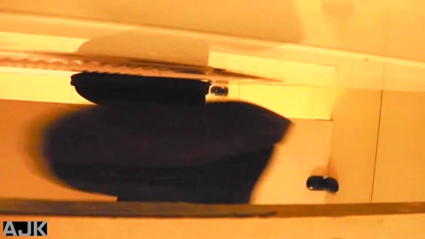         神降臨！史上最強の潜入かわや！vol.11
    