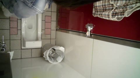         【若い女良の痴態洗面所】痴態洗面所 Vol.01　顔のアップがたまりま・・・。あっ!!
    