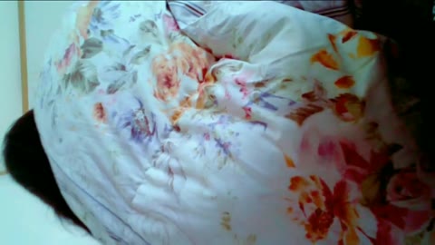         歯ブラシを使って・・♪人気なエース４番むすめのえっちぃ日常☆etc８作品+
    