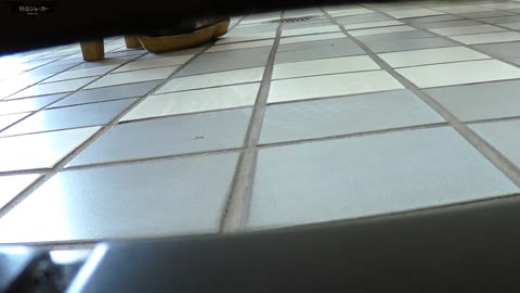         至近距離洗面所 Vol.04 GALに学●お顔もばっちり!!
    