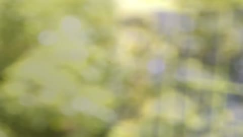         3D あにめーしょん
    