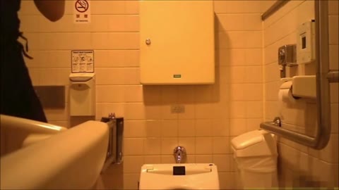         某大手デパート多目的洋式トイレ
    