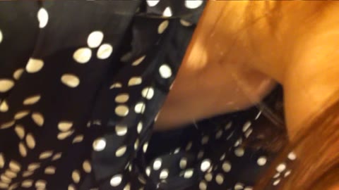         Nozokinakamuraya appi0012_00
    