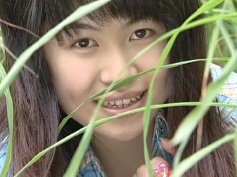         美少女映像集 七夕への祈り 秋野めぐみ
    