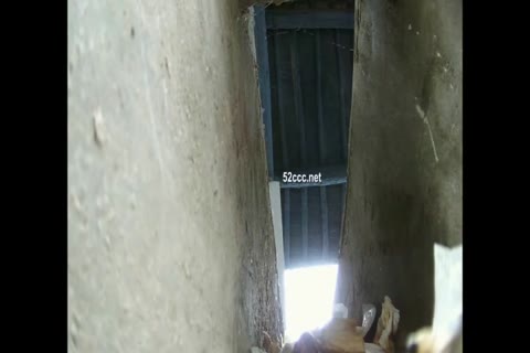         無修正　高角度高画質称好便所
    