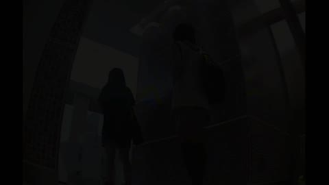         お漏らし寸前デパトイレ盗撮！Vol.01
    