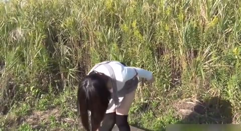         野外露出 露マン〇 5
    