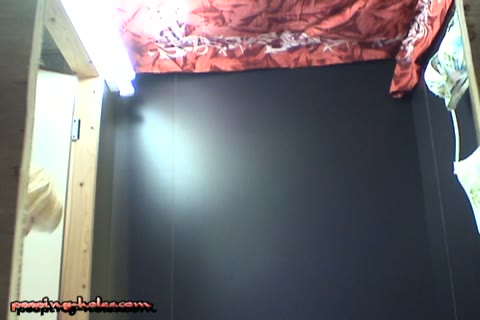         和式便器内3カメトイレVol.5
    