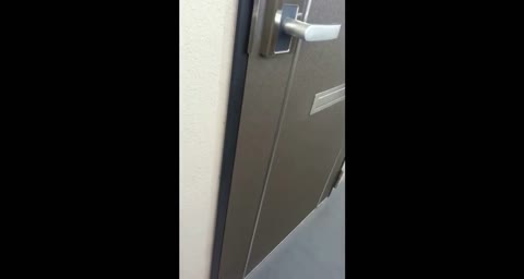         超可愛い♬近所に住む女子○生にお願いして極上フェラしてもらう！etc2本
    