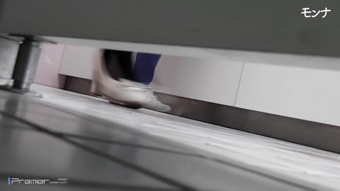         【美しい日本の未来 No.189】淑女シリーズ8　　仕切り一枚の向かい側の風景を想像から現実へ
    