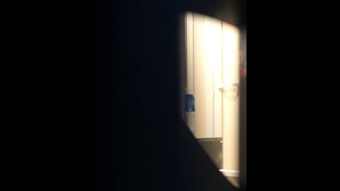         扉が開くと美人女子大生たちが現れた
    