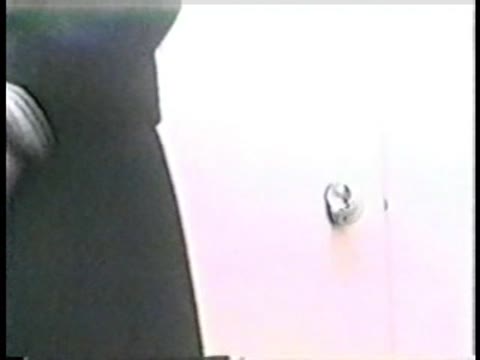         Tokyo Disneyland Toilette TDL02
    