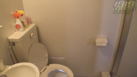         Hiroshi Toilets dwt003_0240_01
    