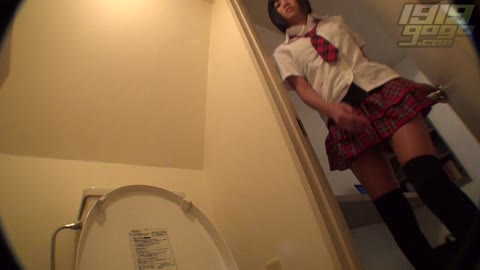         Hiroshi Toilets dwt005_0340_01
    