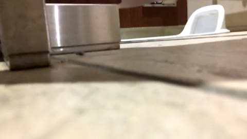         【激レア】某都立高校Kトイレ盗撮動画①
    