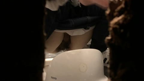         【新シリーズ】和式といれ１【貴重】
    