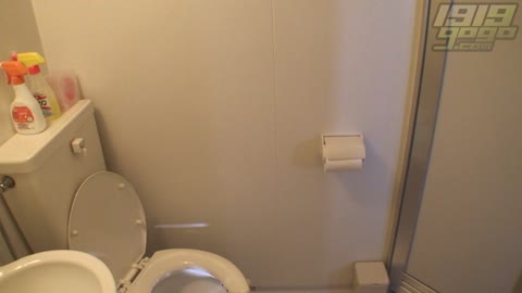         Hiroshi Toilets dwt003_0340_01
    