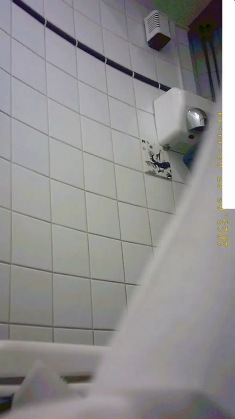         ブレグジット記念　ＥＵ最後のトイレ４
    