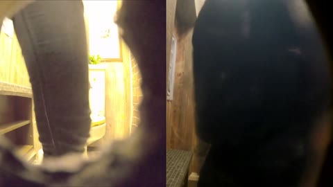         【BYAN】盗撮 トイレ喫茶51
    