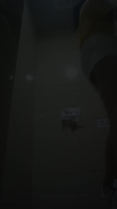         【総勢20名!!】中国の可愛い子が多いバーのトイレ 第8段
    