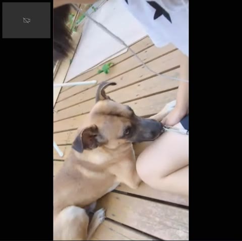         Oのｃの世代の子がこっそりジドリしたスマホ動画像☆彡etc3本
    