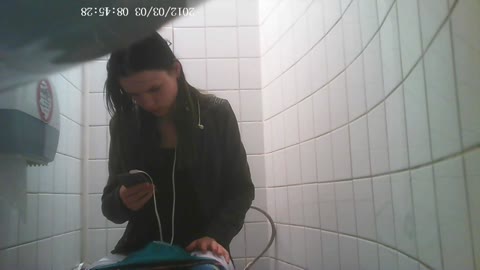         ブレグジット記念　ＥＵ最後のトイレ１
    