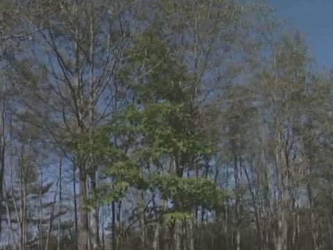         美少女映像集 第23章 伊藤まりか
    