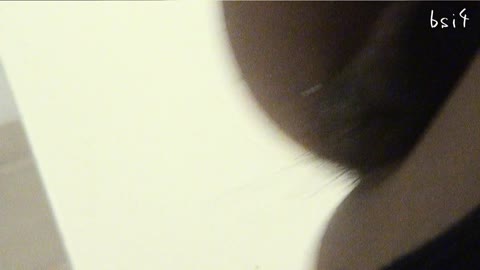         至高下半身盗撮-PREMIUM-【院内病棟編 】VOL.4
    