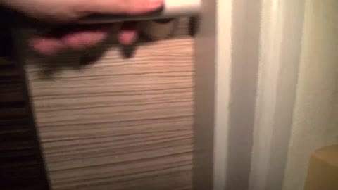         超美人で巨乳妻のさとみ39歳が母乳をまき散らしながらセックス！
    