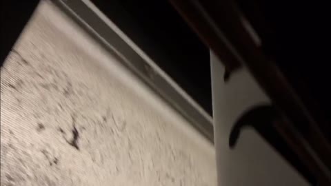         ボビーオロゴン逮捕セット♪
    