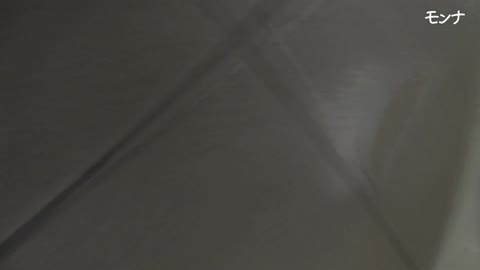         シリーズで一番エロマンな子全追跡【美しい日本の未来 No.231】
    