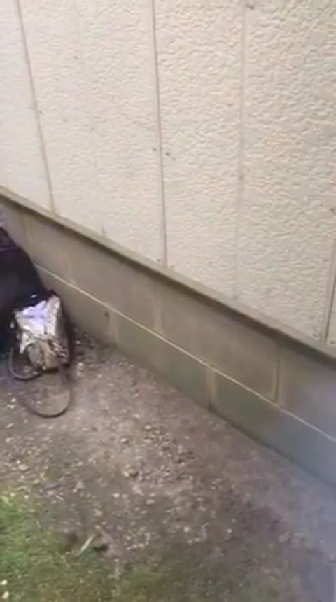         黄色いＴシャツの１年生★清楚系で美白な女の子自撮り！etc7作品+
    