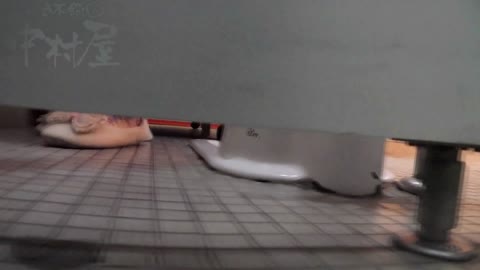         Nozokinakamuraya pethai027_00
    