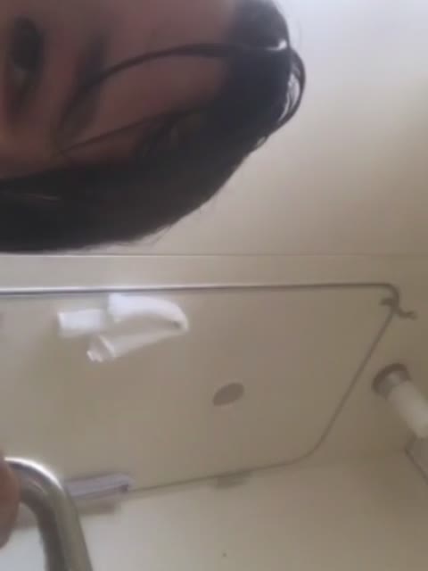         セントポーリア⑮
    