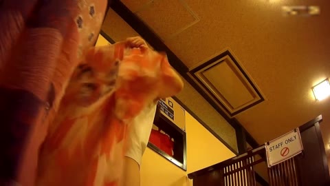         HD高画質②脱○所前編
    