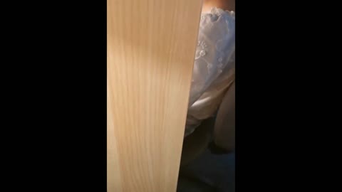         ツルツルにハメハメは1
    