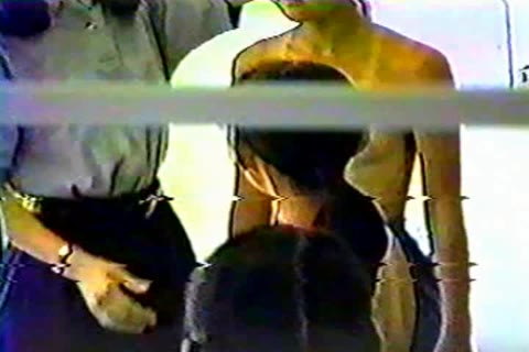         公立小中高全校休校セット
    