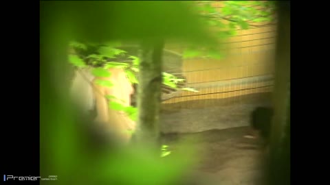         【風呂の神】【露天風呂最高峰　Vol.018】若い子がたくさん来る露天風呂　盛合せ
    