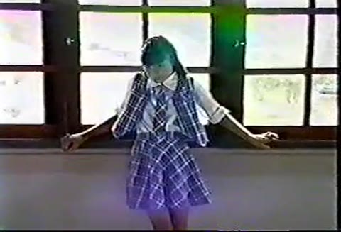         昭和のイメージビデオコレクション 17
    