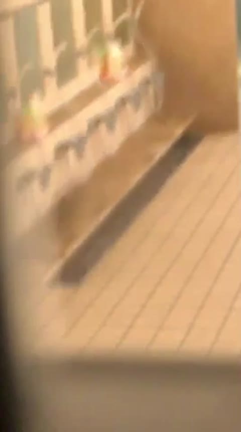         和・〇が★旅行のおふろ？
    