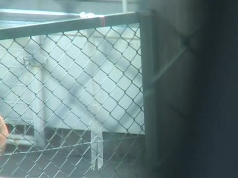         プールの授業風景①
    