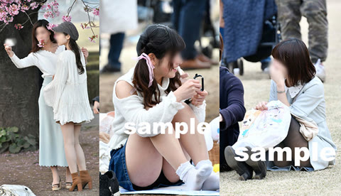         2019♪お花見ガールズ4
    