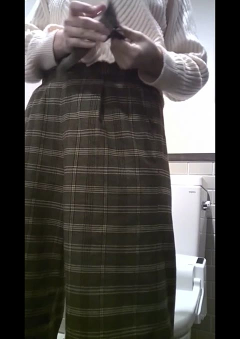         お姉さん達のトイレマナー　特別企画　とっておきの別嬪さん②　17人登場
    