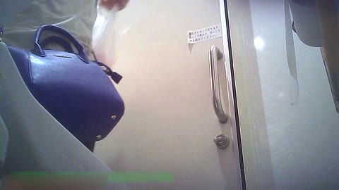         リアル素人トイレ
    